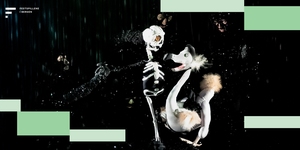 Festspillene i Bergen: Dead as a Dodo av Wakka Wakka