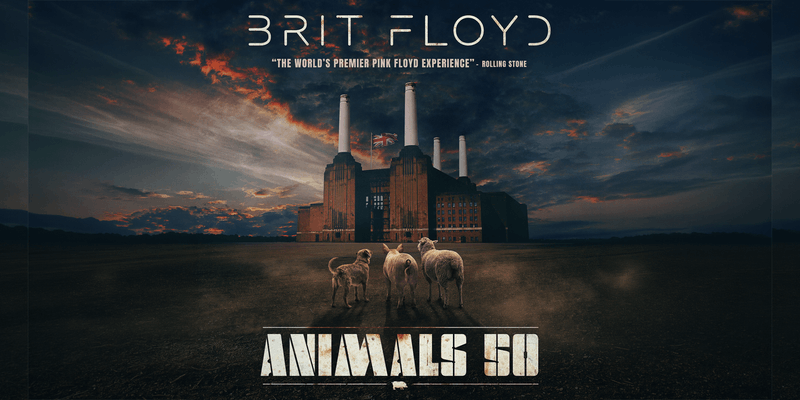 BRIT FLOYD – ANIMALS 50 - World Tour 2027